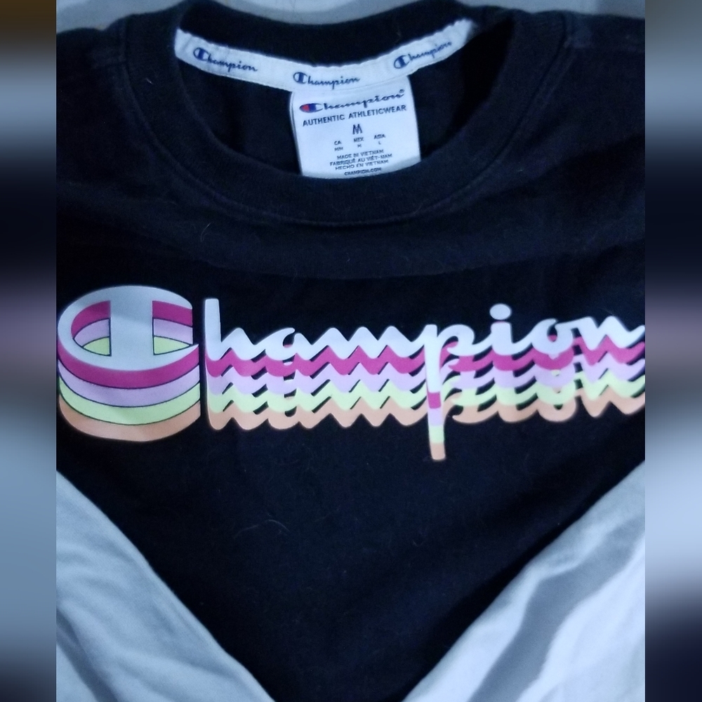 Champion Long Sleeve Crop Top